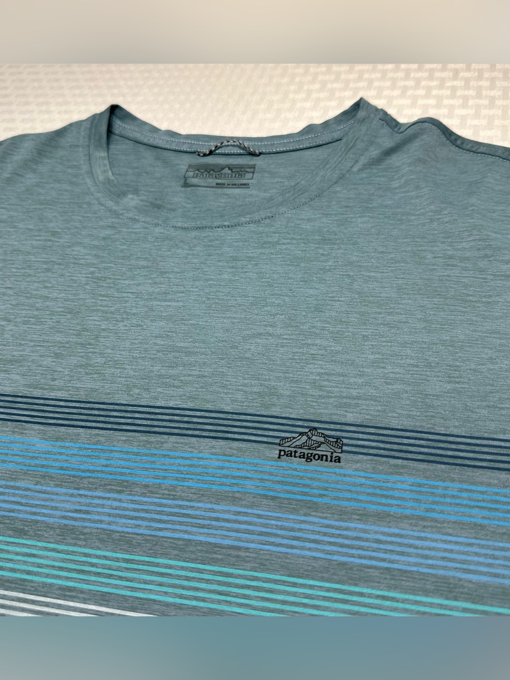 EXC Patagonia Capilene Cool Daily Men's L Stripe L/S Performance Train Hike Gorp